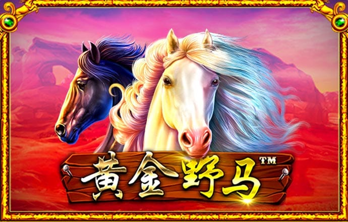 767彩票app下载